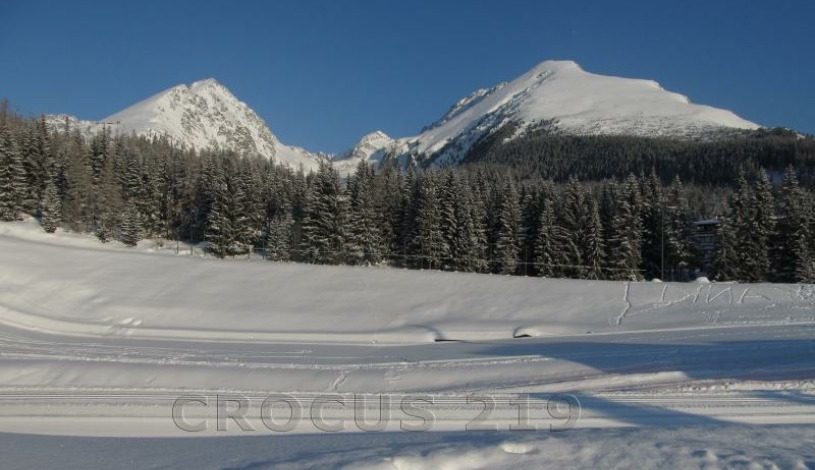 Apartmán Crocus 219 - Štrbské Pleso Vysoké Tatry